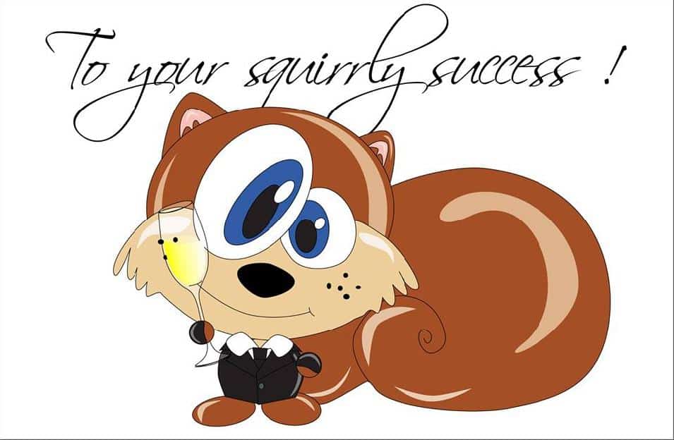 wordpress seo success
