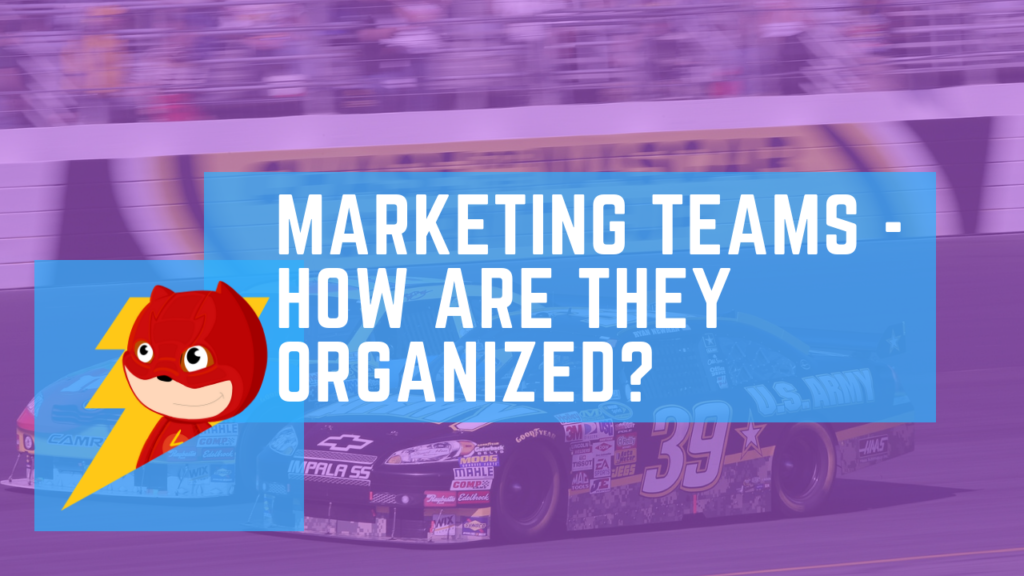 marketing team structure study made with various companies