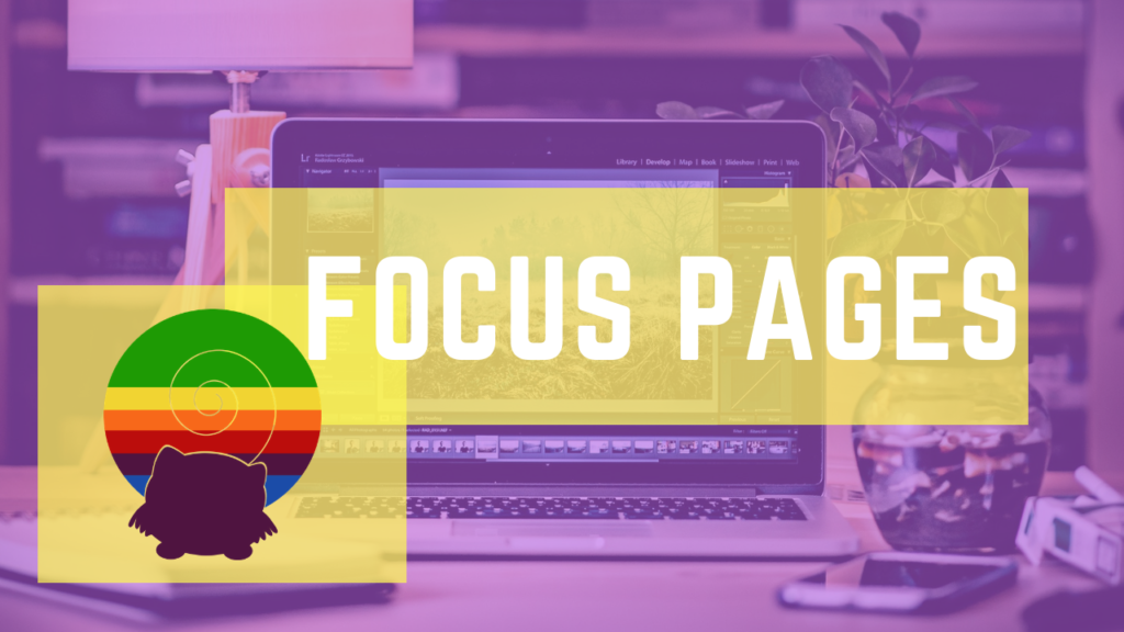 focus pages squirrly seo 2019