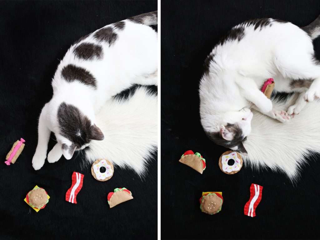 Gift ideas for pets
