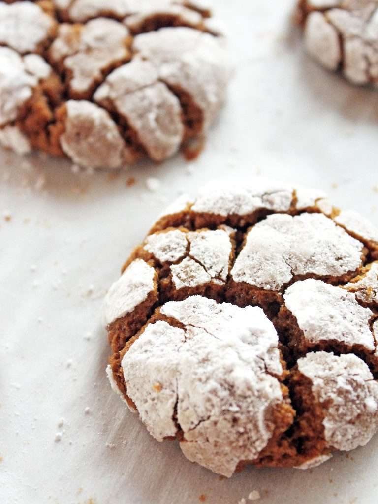 hot chocolate and gingerbread recipes