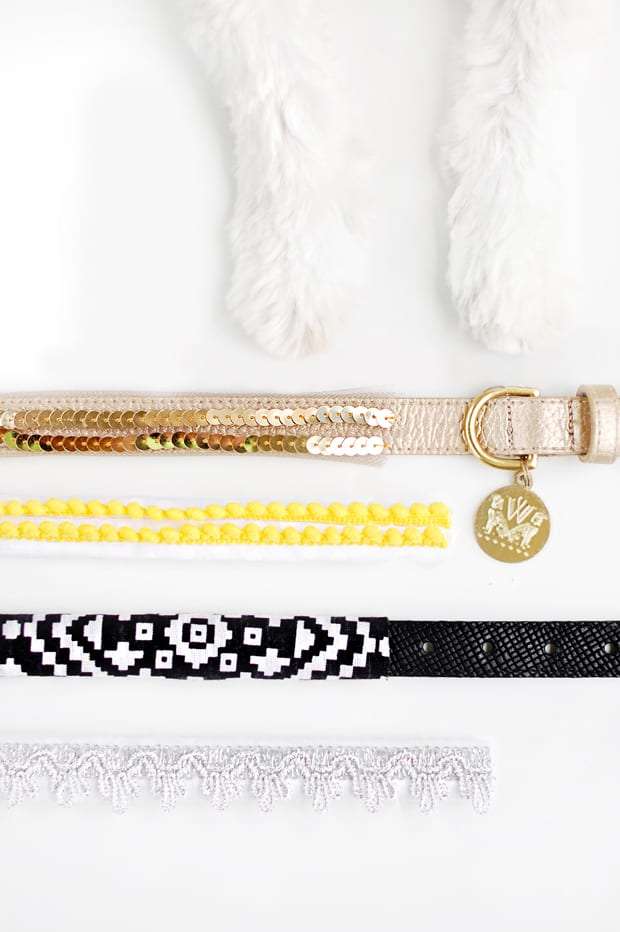 Gifts ideas for your pets